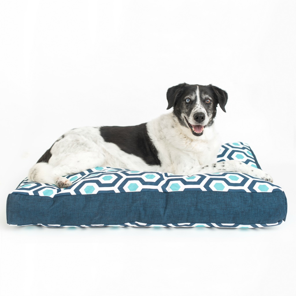 Inspired by a love of interior design and the need for a waterproof dog bed, Jane Pearson launched Janery and started selling chic, practical pet beds. Janery beds are durable, stylish, and made in the USA.