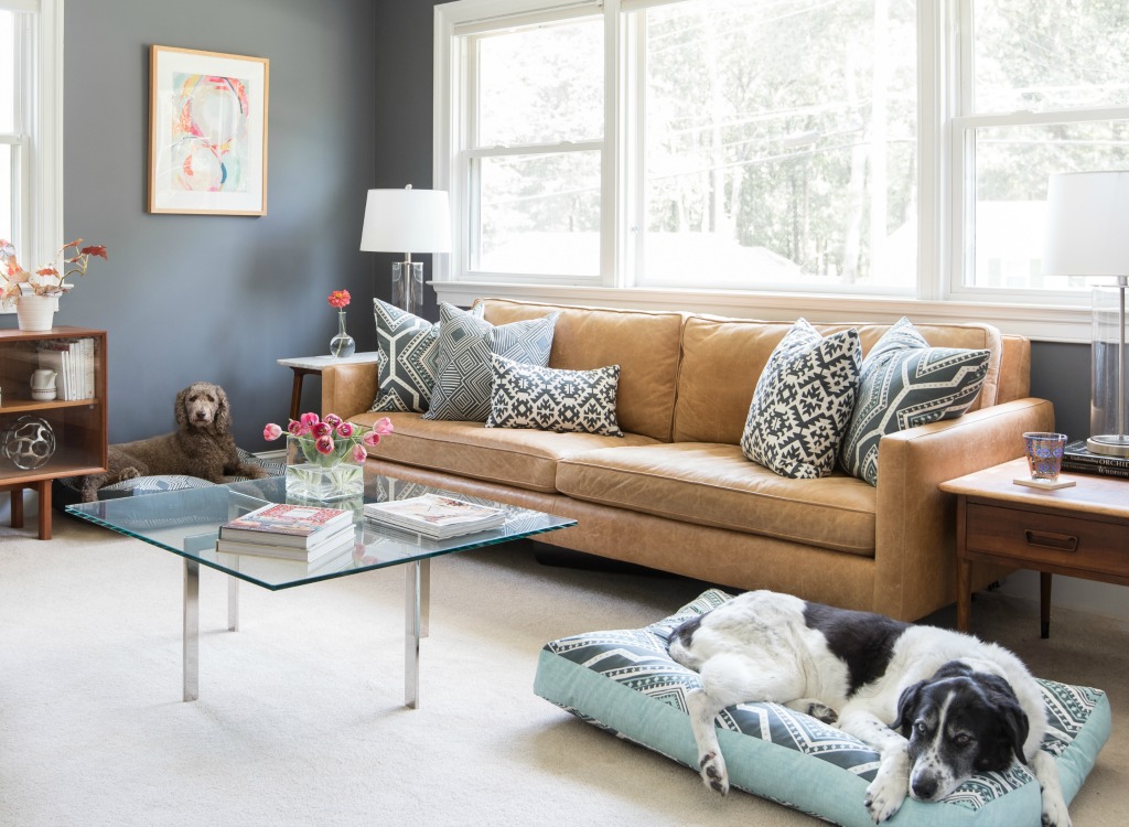 Inspired by a love of interior design and the need for a waterproof dog bed, Jane Pearson launched Janery and started selling chic, practical pet beds. Janery beds are durable, stylish, and made in the USA.