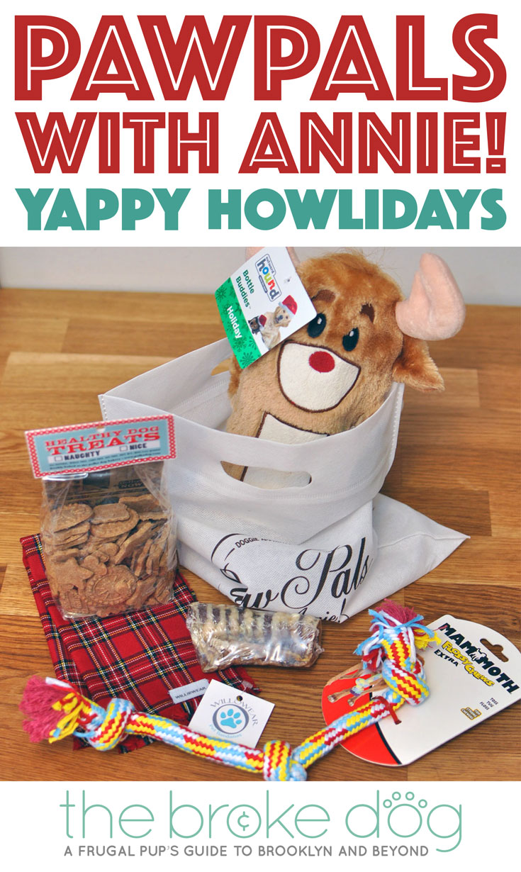 Are you feeling jolly this holiday season? You will be after opening PawPals With Annie!'s Yappy Howlidays shipment! Each month's eco-friendly bag is filled with about five quality themed goodies for your pup, and December's bag is no exception.