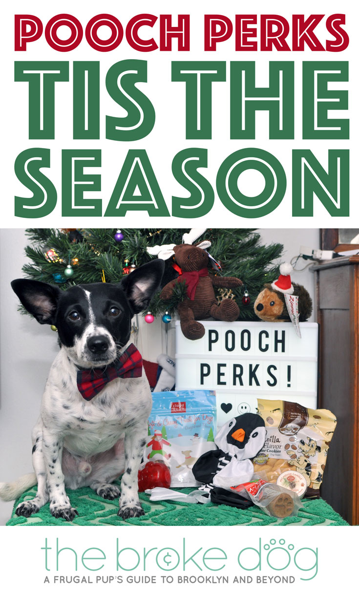 If your dog needs a little prodding to get in on the holiday fun, Pooch Perks is here to help — check out our December Pooch Perks review to learn how!