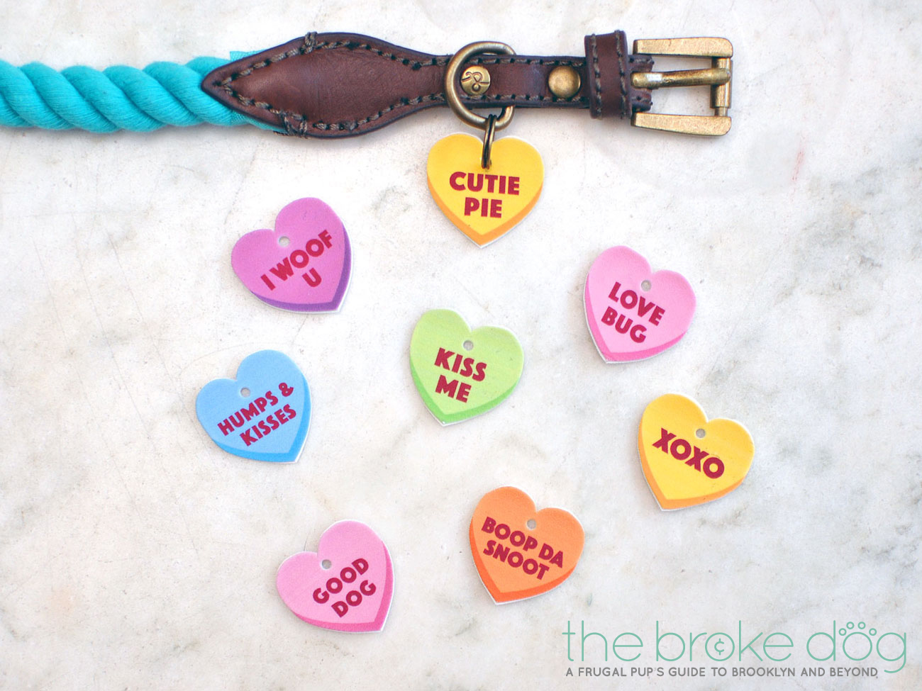 It's almost Valentine's Day, and we all know where your love REALLY lies! With only a few materials, you can make your pup a token of your affection that will also look adorable on his or her collar. Check out these easy Free Printable Conversation Heart Collar Charms for the perfect gift!