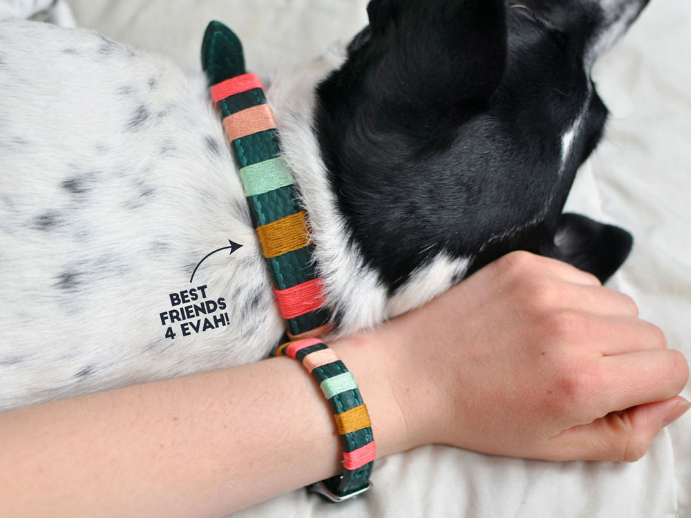 dog friendship bracelet