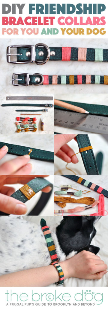 You may have seen some really amazing "friendship bracelets" for you and your dog from companies like Friendship Collar or Bearytail Leather Company, but are itching for something a little more personal. With just some simple materials and a few minutes, you can make your very own DIY friendship bracelet collars!