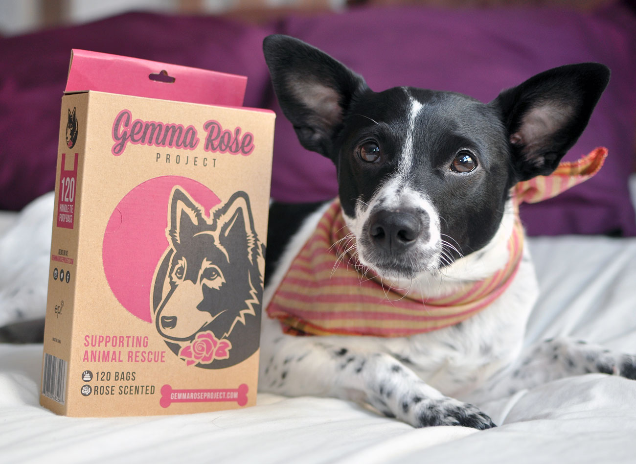 Do you ever feel guilty while scooping your dog’s poop with a plastic bag, wishing there was a way you could be a little nicer to the environment while helping homeless pups? Gemma Rose Project’s poop bags are the solution!