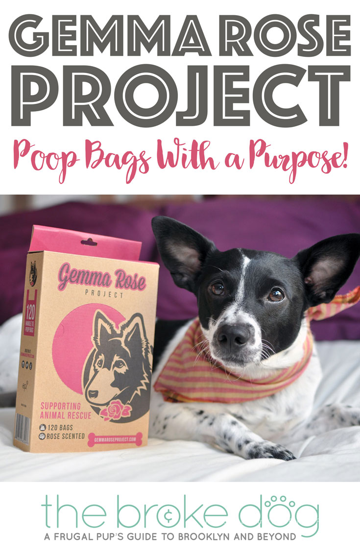 Do you ever feel guilty while scooping your dog’s poop with a plastic bag, wishing there was a way you could be a little nicer to the environment while helping homeless pups? Gemma Rose Project’s poop bags are the solution!