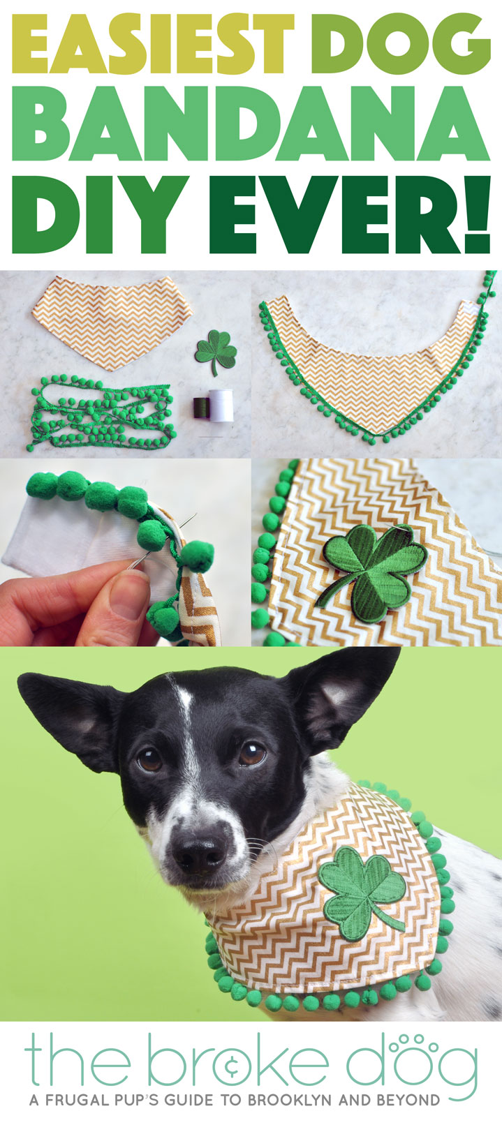 This dog bandana may look fancy, but I promise you that this DIY tutorial is probably the easiest dog bandana DIY you'll find! You don't even have to sew if you don't want to! All you need is a few simple materials and a little creativity to make your pup stand out at any event or for any holiday.