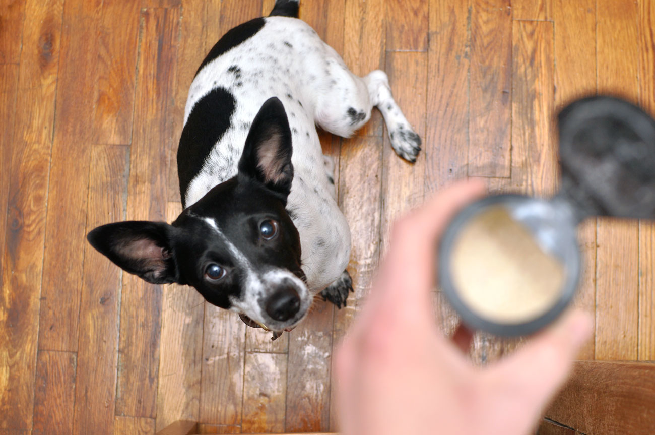 Is your dog a picky eater? Does he or she need an appetite boost? FLAVORS, human grade dog food toppers by Basics Brands, are here to help!