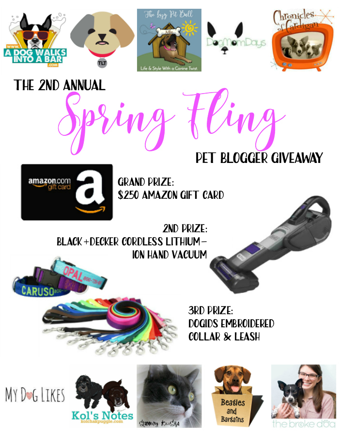 Enter to win a $250 Amazon Gift Card and more in the Pet Blogger Spring Fling Giveaway!