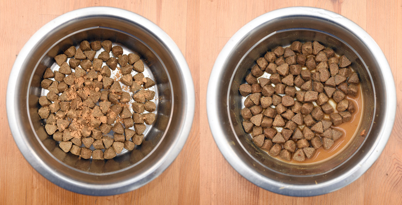 Is your dog a picky eater? Does he or she need an appetite boost? FLAVORS, human grade dog food toppers by Basics Brands, are here to help!
