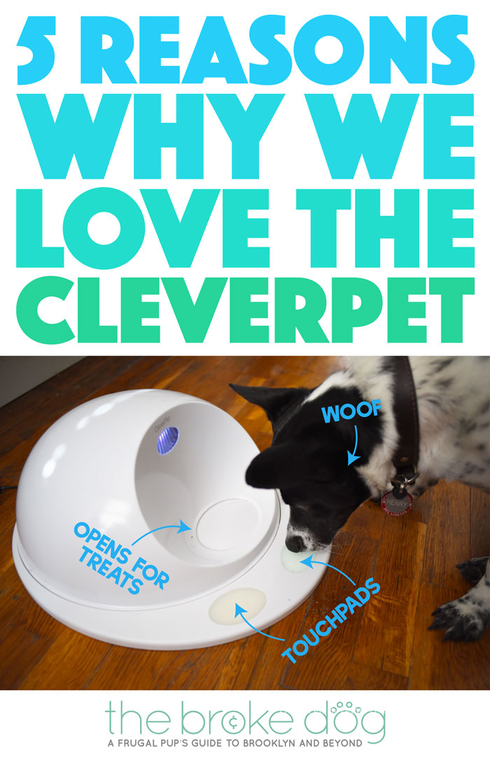 Do you work? Yup, I thought so. We all need to support ourselves! I happen to love my job, but that doesn't mean Henry appreciates that I leave the house for hours at a time. We tried the CleverPet, a smart device that acts like a doggie game console, to see if it would help. Did it? Check out our CleverPet review!