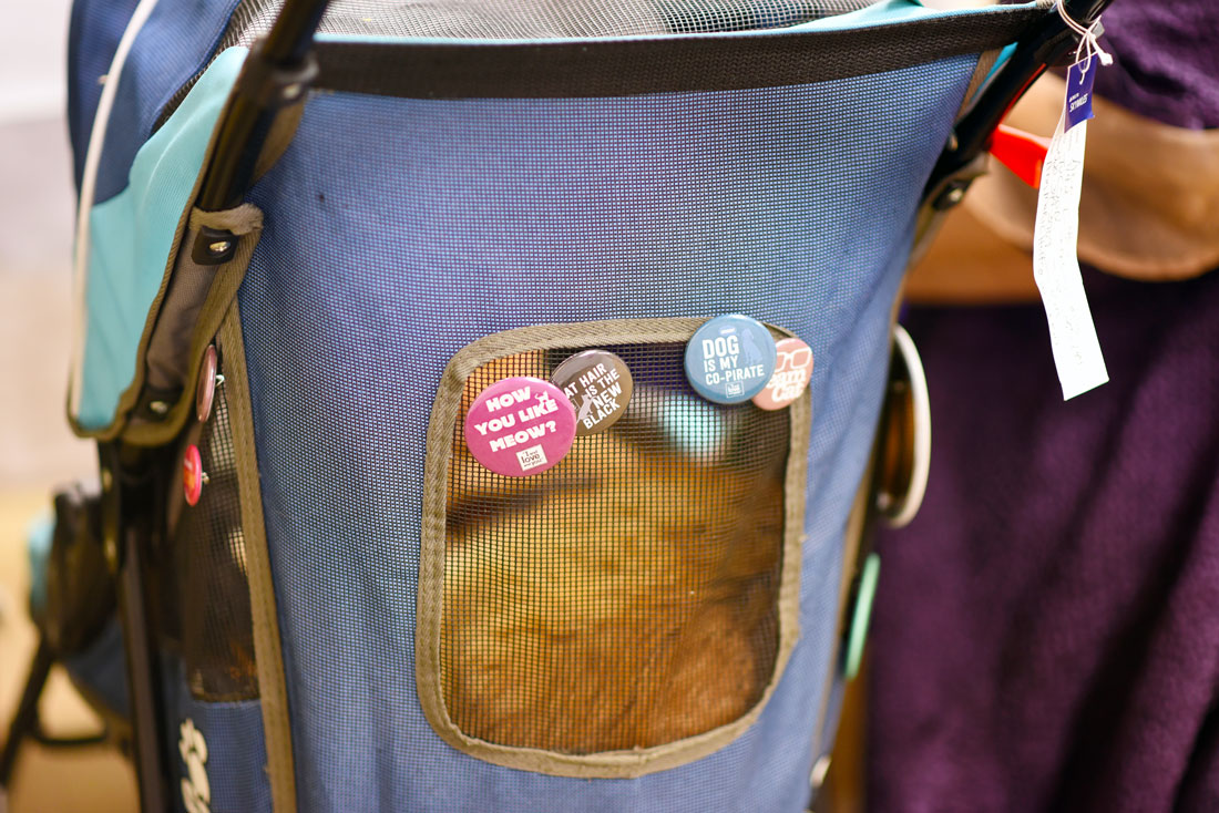 Thinking about attending BlogPaws? This year's conference was my second time at the rodeo, and I've learned a few things along the way. Whether you're a newbie or seasoned veteran, check out my 11 Top Tips for BlogPaws Attendees!