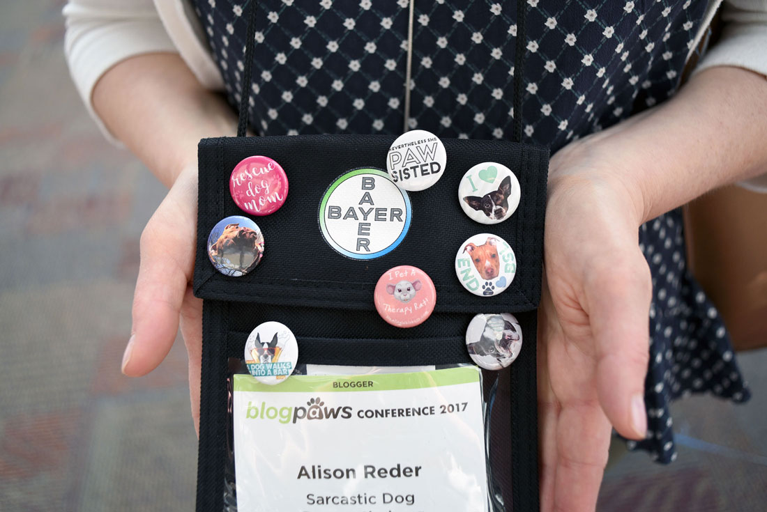 Thinking about attending BlogPaws? This year's conference was my second time at the rodeo, and I've learned a few things along the way. Whether you're a newbie or seasoned veteran, check out my 11 Top Tips for BlogPaws Attendees!