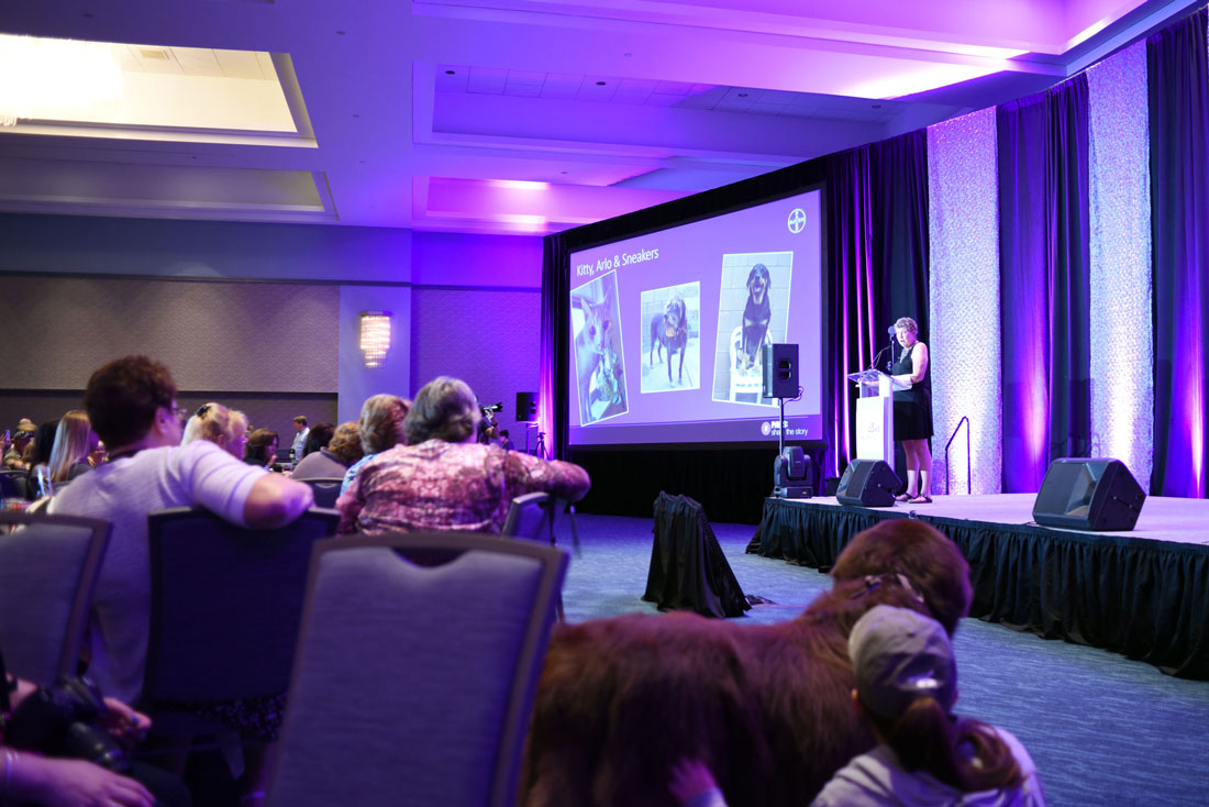 Thinking about attending BlogPaws? This year's conference was my second time at the rodeo, and I've learned a few things along the way. Whether you're a newbie or seasoned veteran, check out my 11 Top Tips for BlogPaws Attendees!