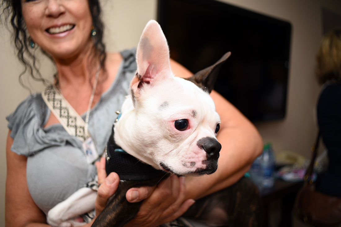 Thinking about attending BlogPaws? This year's conference was my second time at the rodeo, and I've learned a few things along the way. Whether you're a newbie or seasoned veteran, check out my 11 Top Tips for BlogPaws Attendees!
