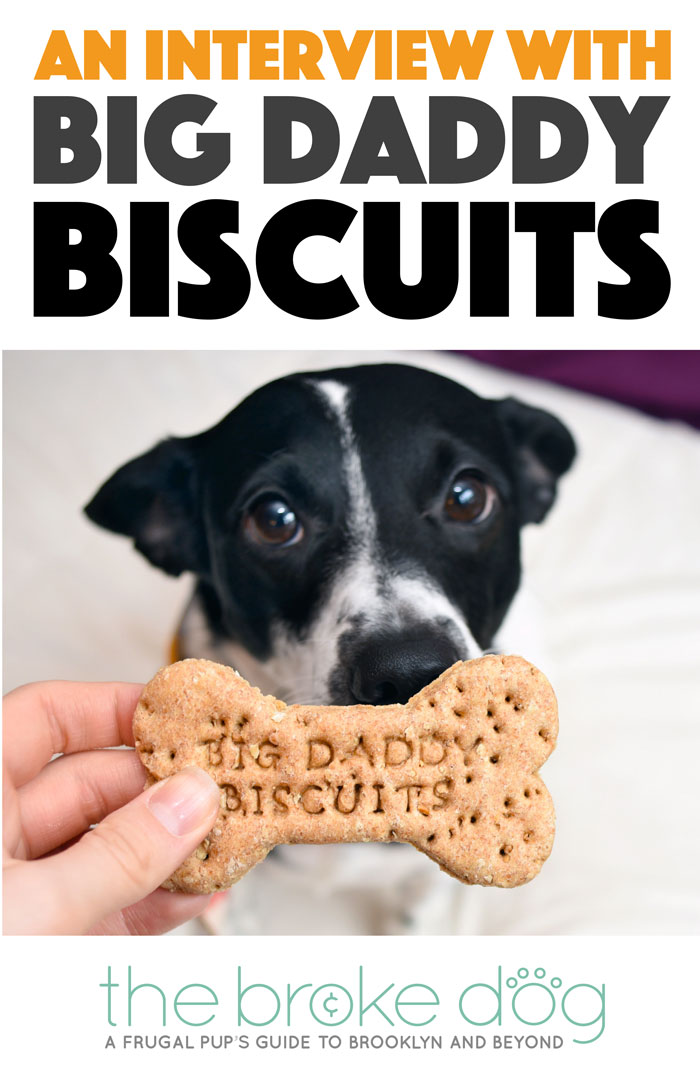 Big Daddy Biscuits makes delicious, healthy dog treats in Atlanta, Georgia — but don't take it from me, take it from Big Daddy, the namesake behind the company! We interview this cutie about his treats, the process, and his Big Mama. Check it out! 