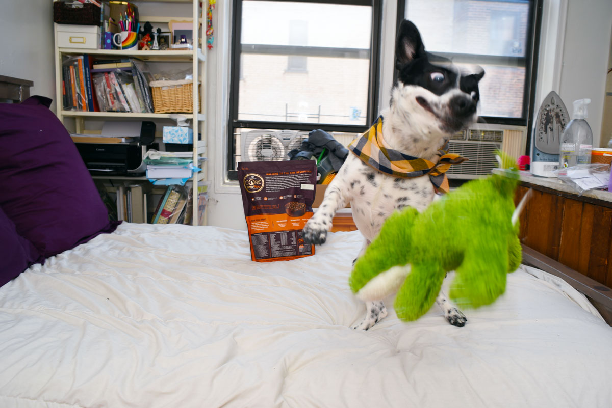 Have you heard the buzz about raw feeding for dogs and want give it a try without the mess, fuss, or confusion? Wellness CORE RawRev is here to help!