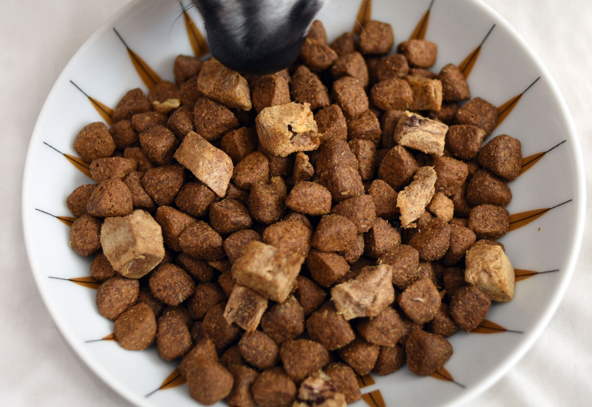 Have you heard the buzz about raw feeding for dogs and want give it a try without the mess, fuss, or confusion? Wellness CORE RawRev is here to help!