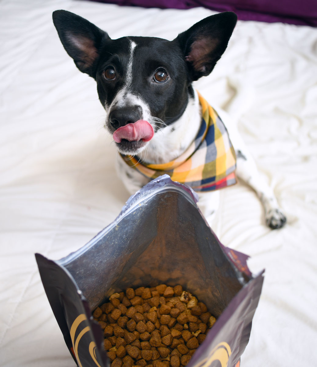 Have you heard the buzz about raw feeding for dogs and want give it a try without the mess, fuss, or confusion? Wellness CORE RawRev is here to help!