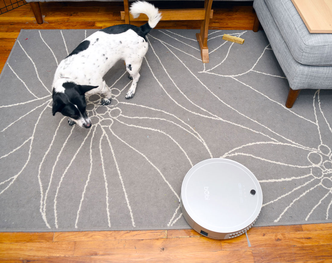 No time to clean? bObi Pet by bObsweep might be the answer! Henry and I had the chance to test this robotic vacuum on our shed-encrusted apartment floor. Did we like her? Heck yes!