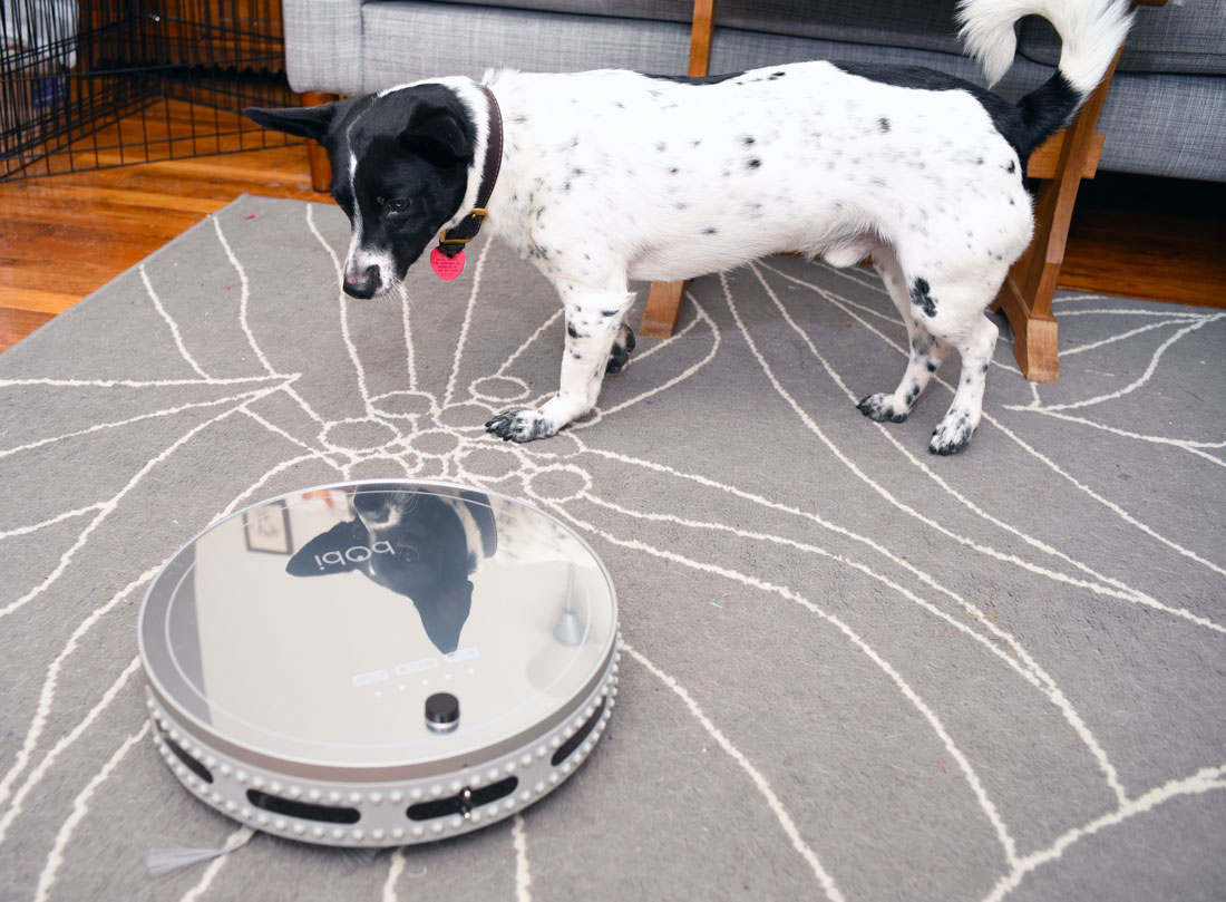 No time to clean? bObi Pet by bObsweep might be the answer! Henry and I had the chance to test this robotic vacuum on our shed-encrusted apartment floor. Did we like her? Heck yes!