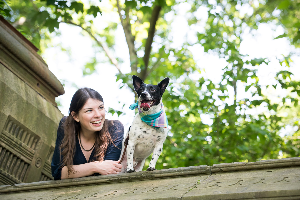 Years before my dog's training classes and medications, there was a cow. Her name was Peaches, and she taught me a surprising lesson about training my reactive dog.
