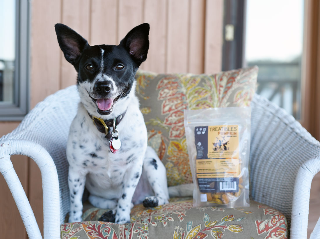 Have you heard the buzz about using hemp for dogs? Learn more about CBD for reactive dogs and how Treatibles is helping Henry!