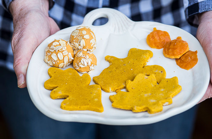 Fall is coming — and that means pumpkins flavored everything. Your dogs don't have to miss out! Check out seven of my favorite pumpkin dog treat recipes from my fellow dog bloggers.