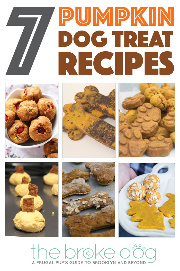 Fall is coming — and that means pumpkins flavored everything. Your dogs don't have to miss out! Check out seven of my favorite pumpkin dog treat recipes from my fellow dog bloggers.