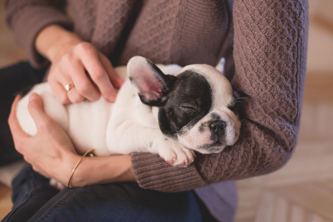 Is pet insurance worth it? Are you considering pet insurance, but have a few doubts? We're addressing seven of the most pervasive pet insurance myths and concerns.