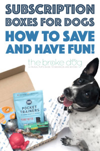 The Broke Dog: How to Save and Have Fun With Dog Subscription Boxes!