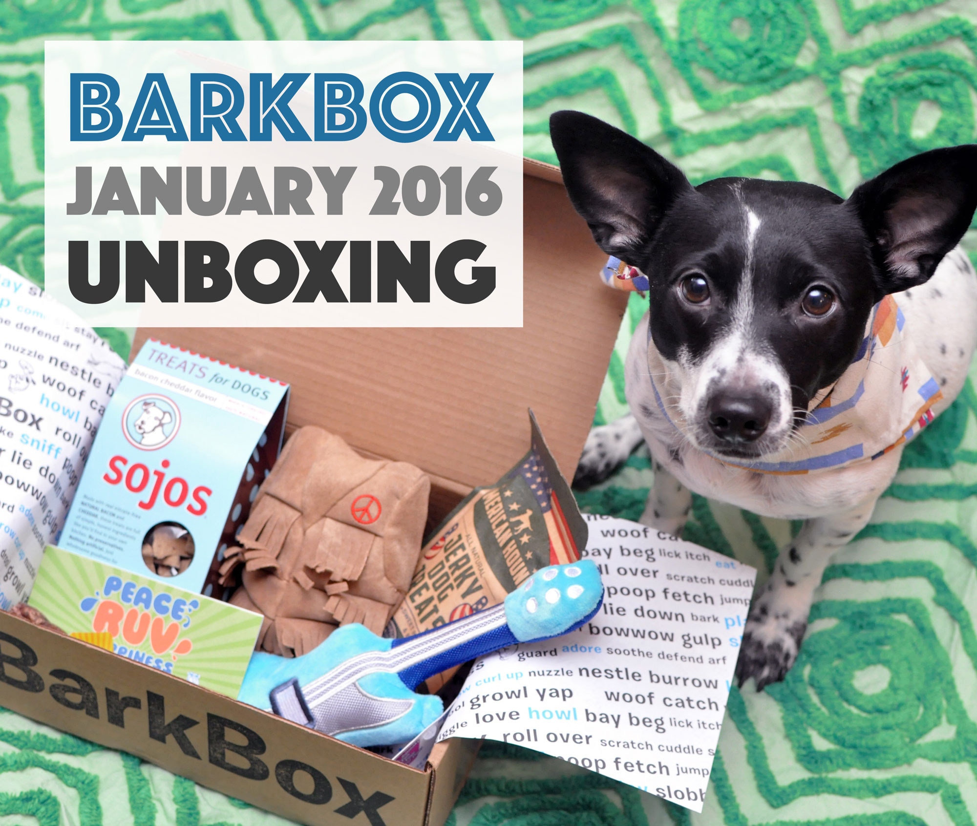 The Broke Dog: January 2016 BarkBox Unboxing. Add a free BarkBox to any new plan with code HENRYTHENUGGET!