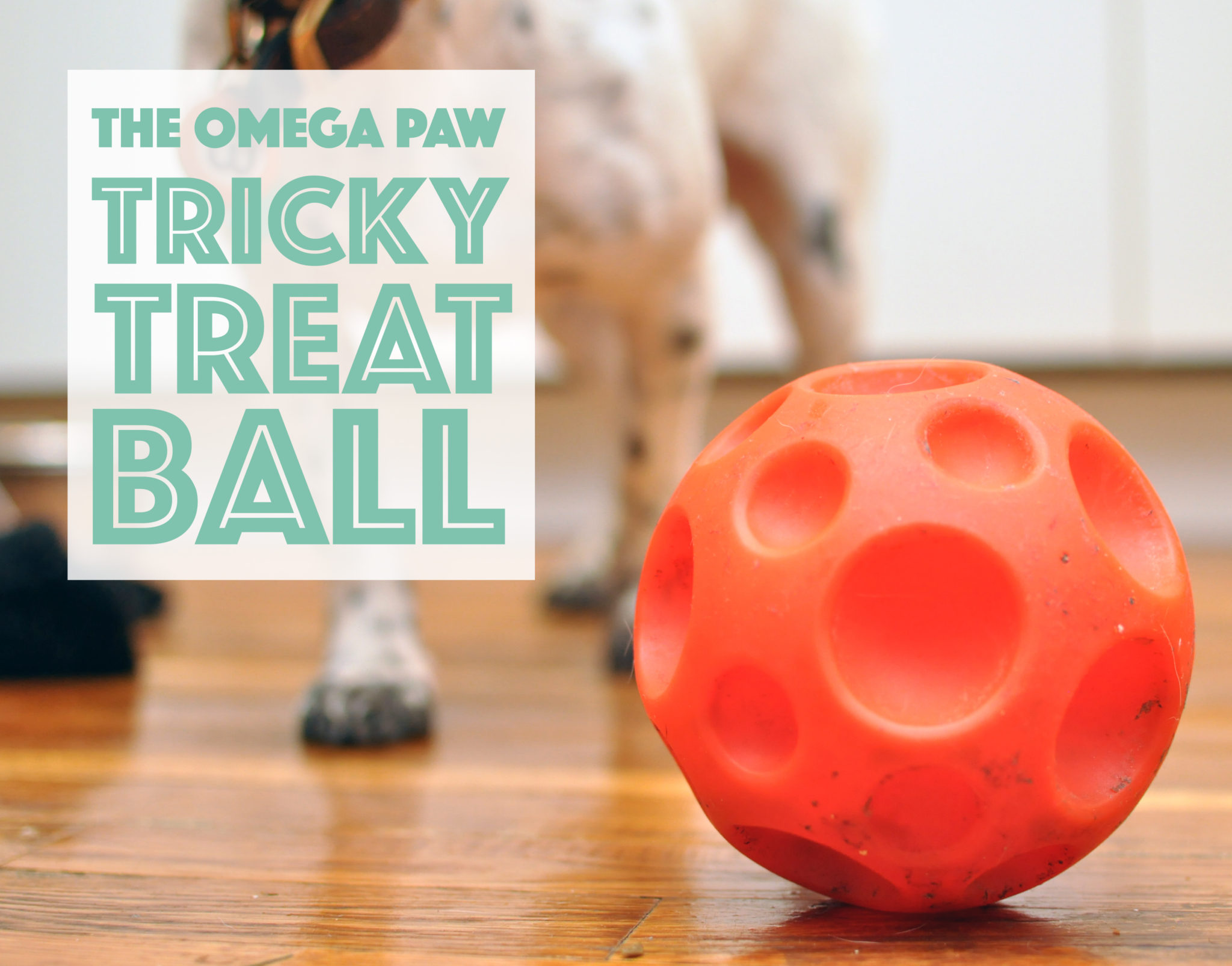 Omega Paw Small Tricky Treat Ball