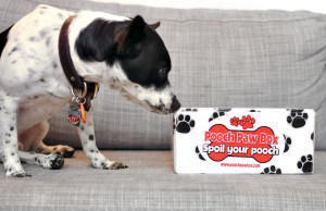 Henry and I review Pooch Paw Box, a dog subscription box service, and show you what's inside our box!
