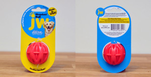 Henry and I review Pooch Paw Box, a dog subscription box service, and show you what's inside our box!