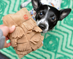 The Broke Dog: January 2016 BarkBox Unboxing. Add a free BarkBox to any new plan with code HENRYTHENUGGET!