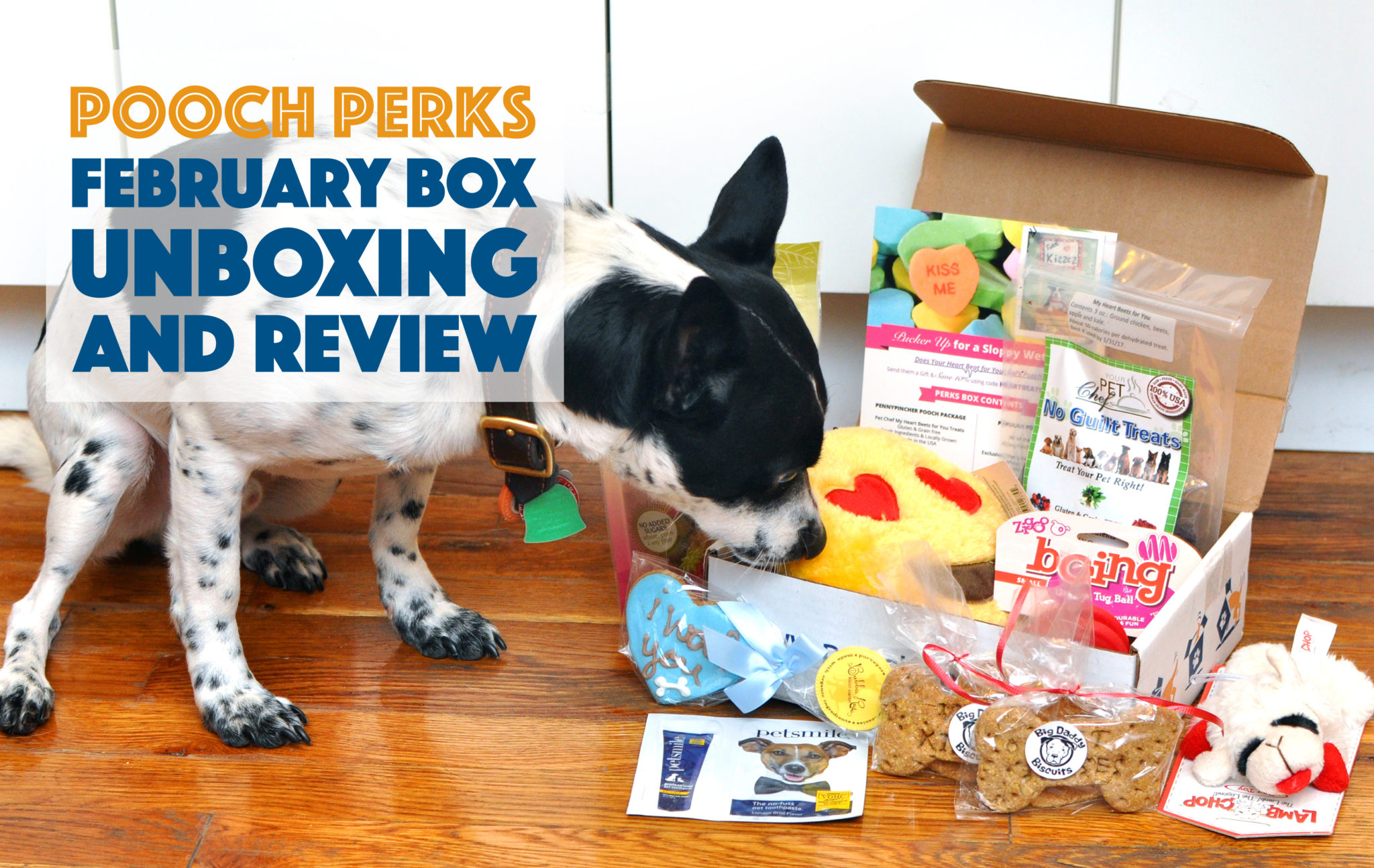 Henry felt the LOVE in his February Valentines-themed Pooch Perks box! Click to see what was inside!