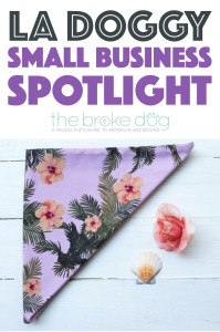 An interview with LA Doggy, a Los Angeles-based company selling handmade dog accessories. PLUS an EXCLUSIVE coupon code!