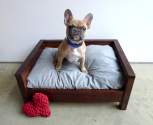 We interviewed Evan of Cozy Cama about her beautiful handmade dog beds and her life behind the scenes! PLUS: an exclusive coupon for The Broke Dog readers!