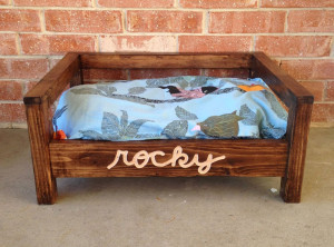 We interviewed Evan of Cozy Cama about her beautiful handmade dog beds and her life behind the scenes! PLUS: an exclusive coupon for The Broke Dog readers!