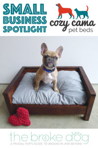 We interviewed Evan of Cozy Cama about her beautiful handmade dog beds and her life behind the scenes! PLUS: an exclusive coupon for The Broke Dog readers!