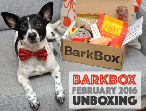 Henry and I unbox the February 2016 "Happy Lunar New Year!" BarkBox! Use code HENRYTHENUGGET to add a free box to any new BarkBox plan - even a one-month plan!