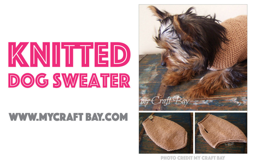 Seven Free Dog Sweater Patterns The Broke Dog
