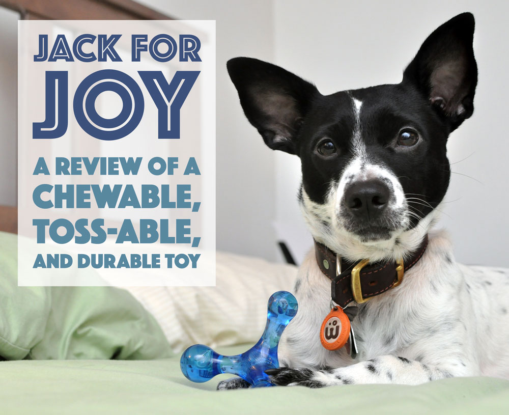 What is chewable, toss-able, durable, and made in the USA? The Jack For Joy! Henry gave this great toy a test run - click to see what he thought!