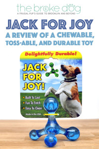 What is chewable, toss-able, durable, and made in the USA? The Jack For Joy! Henry gave this great toy a test run - click to see what he thought!