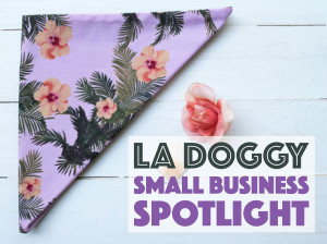 An interview with LA Doggy, a Los Angeles-based company selling handmade dog accessories. PLUS an EXCLUSIVE coupon code!