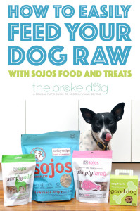 What is irresistible, packed with enzymes and vitamins, and made in the USA from human grade ingredients? Sojos! Henry and I took Sojos Complete and Sojos treats for a test run and have some tips for easily adding raw benefits to your dog's diet!