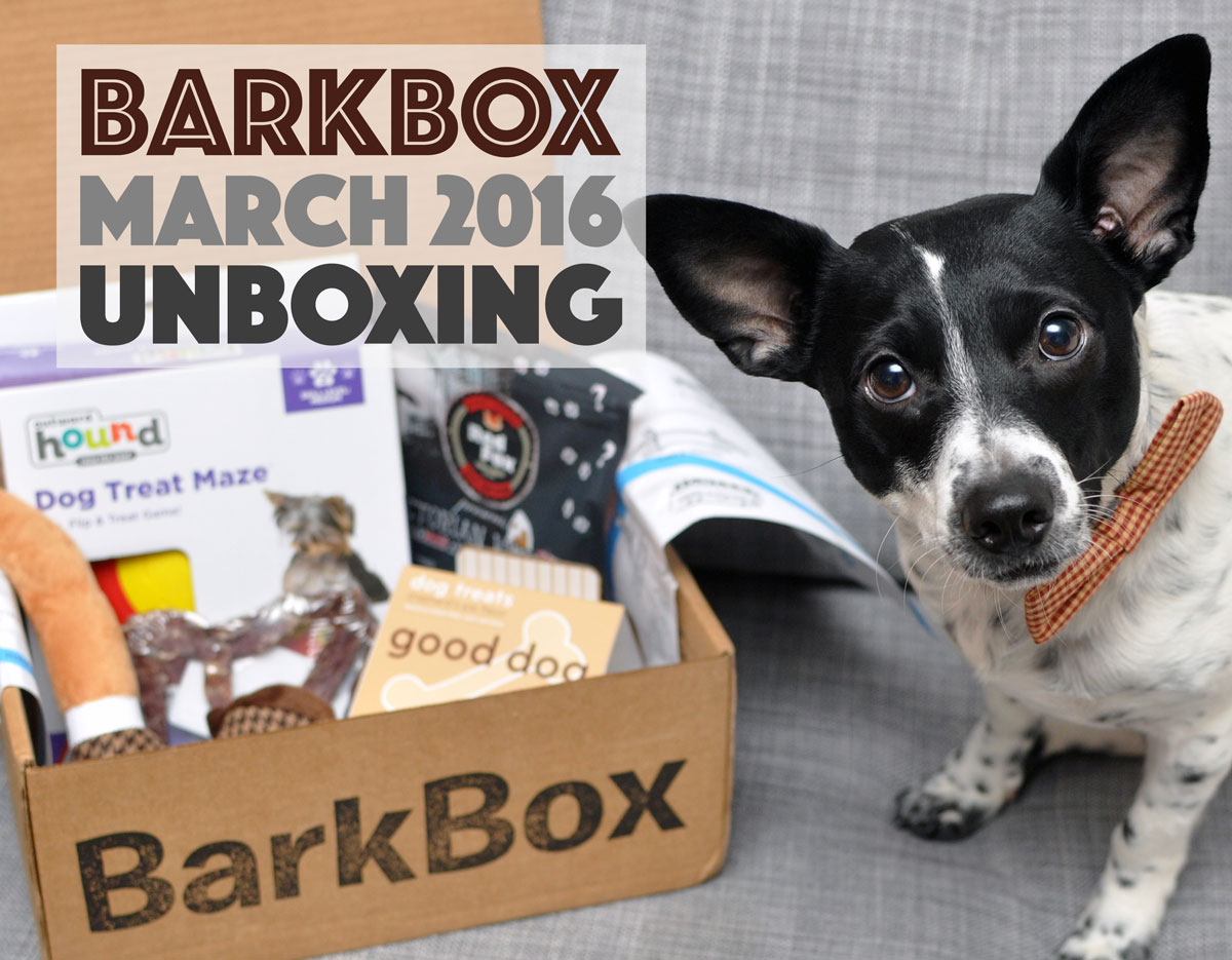 Barkbox Unboxing March 2017 Sherlock