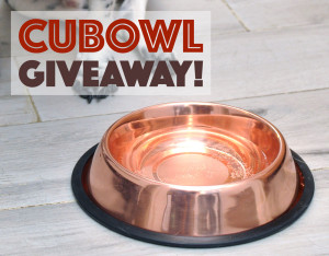 Your chance to win a CuBowl, an innovative new dog water dish made from antimicrobial copper!