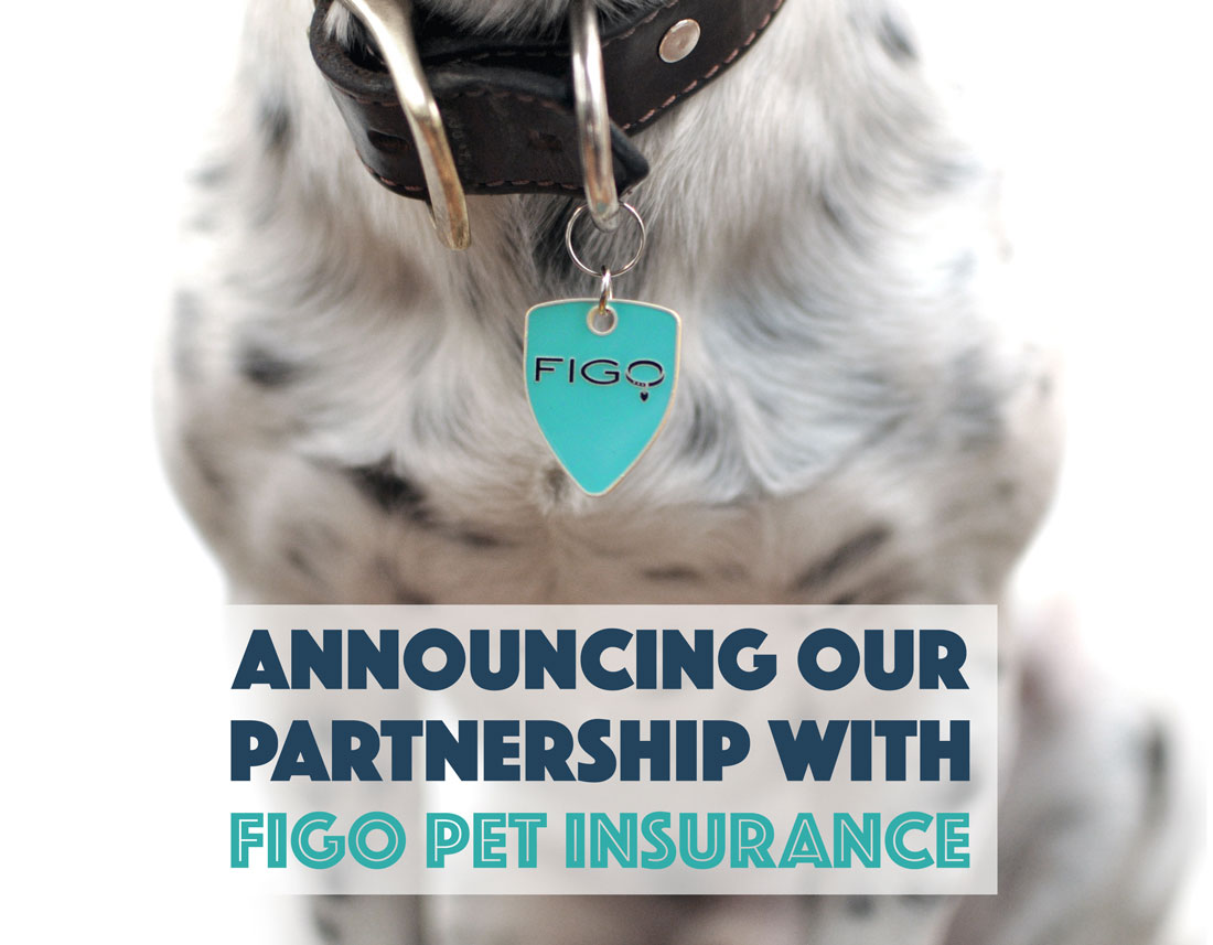 Announcing our partnership with Figo Pet Insurance to bring you great pet insurance at a discounted price!