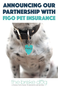 Announcing our partnership with Figo to bring you great pet insurance at a discounted price!